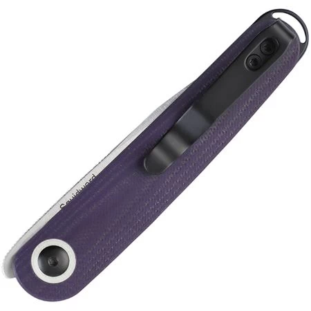 Kizer 3604C1 Squidward Linerlock Purple - Image 2