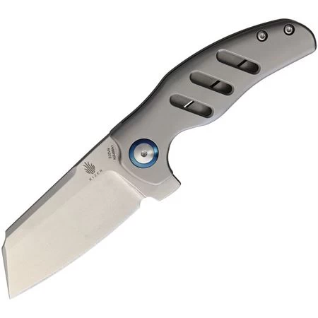 Kizer Cutlery & Knives 3488A1 C01C Mini Framelock Knife
