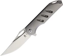 Kizer Cutlery Assassin Framelock