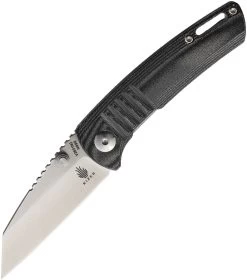 Kizer Cutlery Shard Linerlock Black