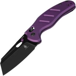 Kizer Cutlery C01C